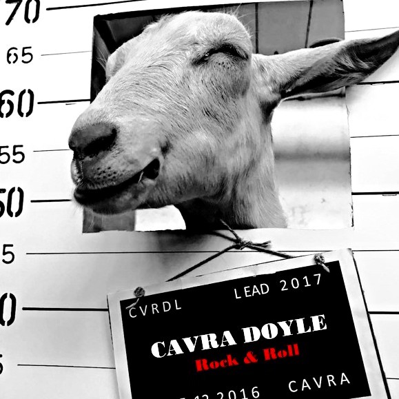 Cavra Doyle da Milano al Sanremo Rock!