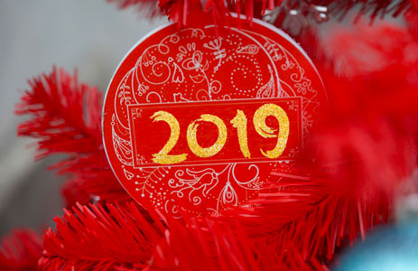 Auguri di Buon Anno e felicissimo 2019!!!