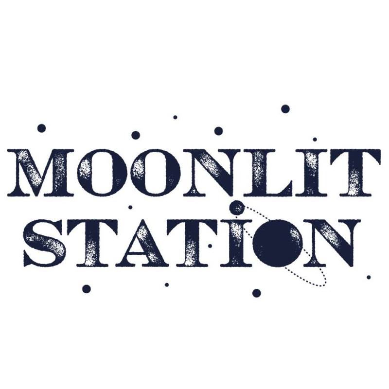 Moonlit Station alla 33^ di Sanremo Rock!